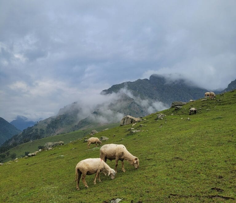 Bodpathri Lakes Trek
