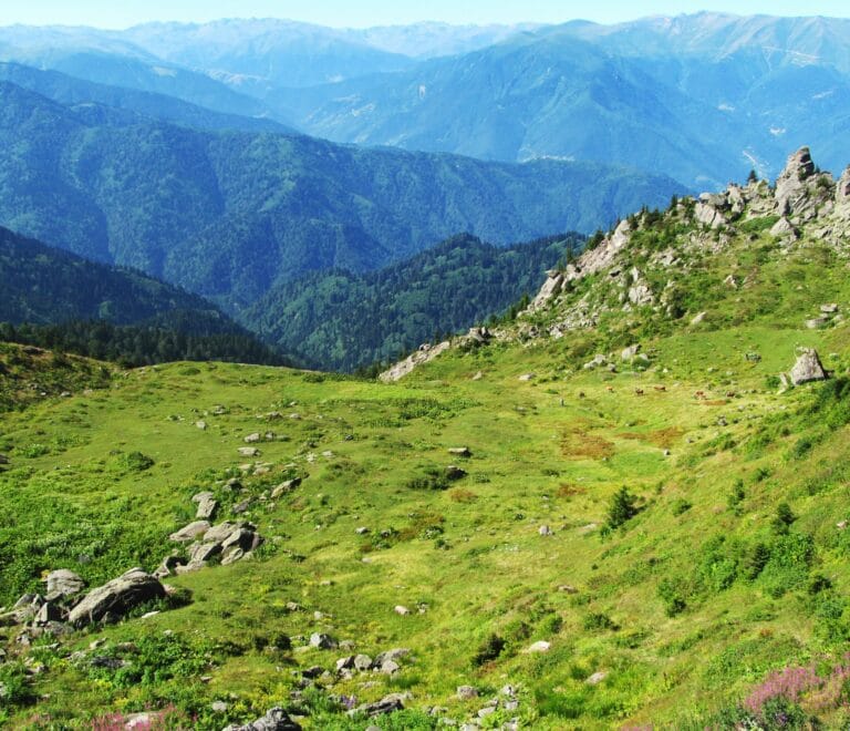 Warwan Valley Trek