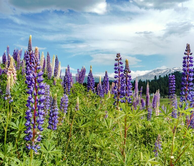 Couple Tour 6 Nights 7 Day Package